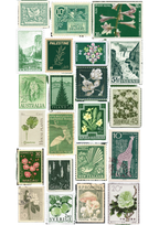 Green Journaling Kit