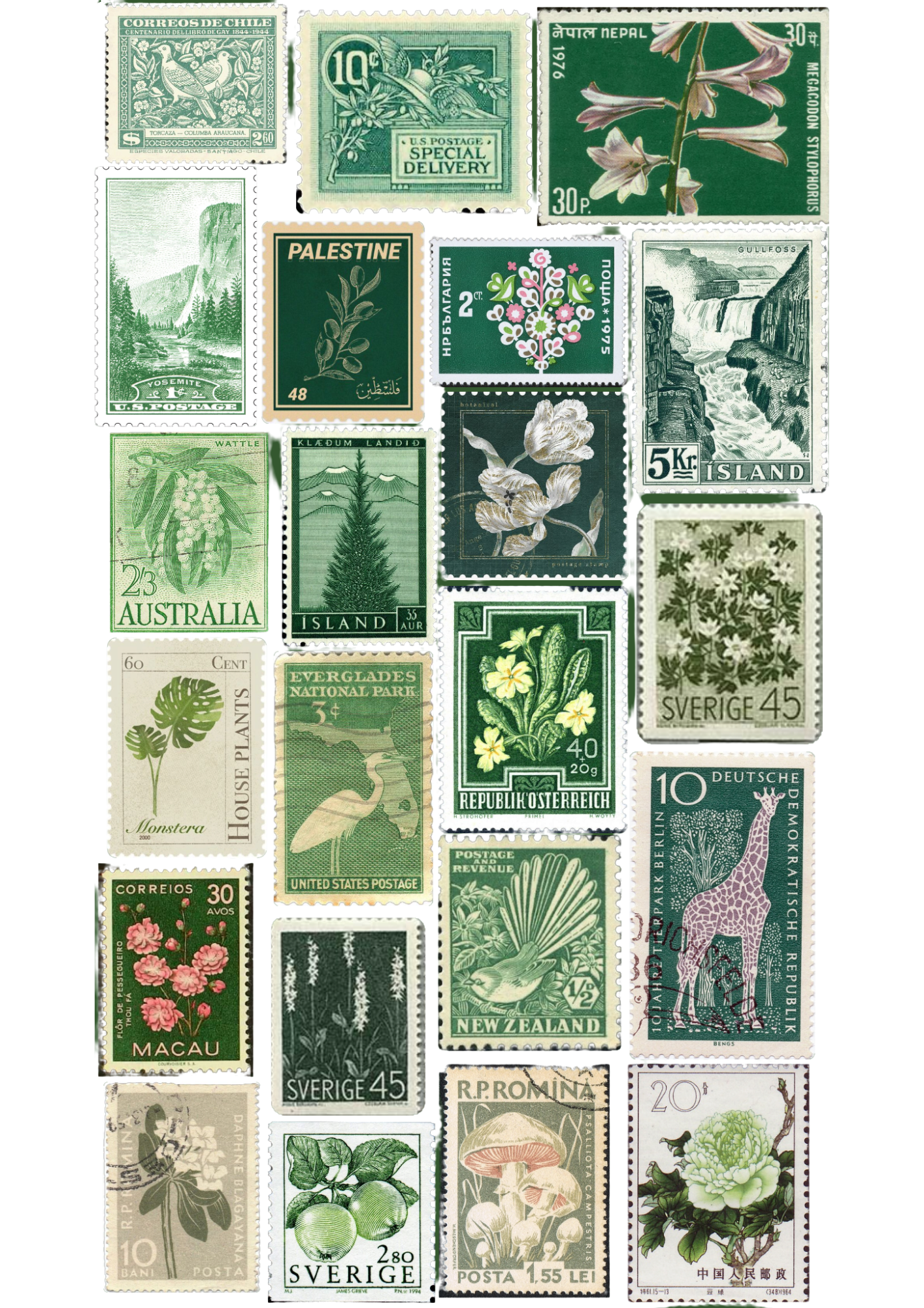 Green Journaling Kit